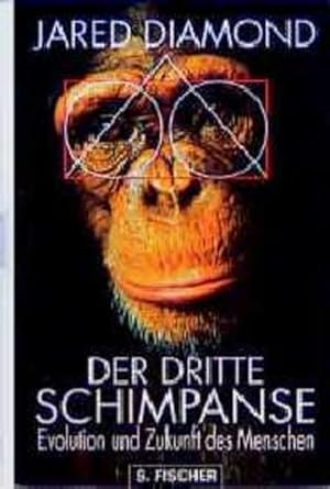 Der dritte Schimpanse