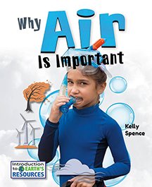 Imagen del vendedor de Why Air Is Important a la venta por GreatBookPrices