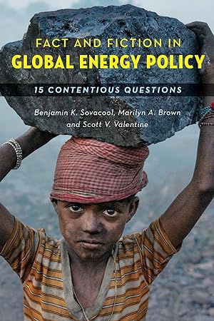 Seller image for Fact and Fiction in Global Energy Policy: Fifteen Contentious Questions for sale by moluna