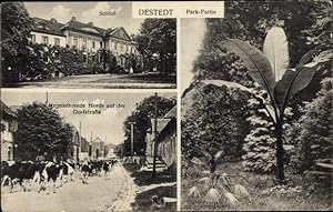 Seller image for Ansichtskarte / Postkarte Destedt Cremlingen in Niedersachsen, Schloss, Heimkehrende Rinderherde auf der Dorfstraße, Park for sale by akpool GmbH