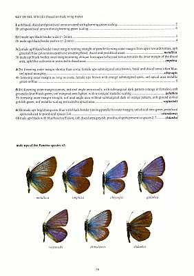Guide to the Butterflies of the Palearctic Region: Lycaenidae Part V, Subfamily Polyommatinae, ...