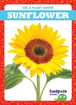 Seller image for Sunflower for sale by GreatBookPrices