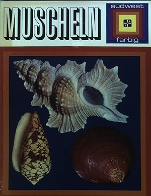 Seller image for Muscheln : Glck aus den 7 Meeren. Ein farbenfroher berblick ber Herrlichkeiten aus dem See mit vielen Farbbildern. for sale by books4less (Versandantiquariat Petra Gros GmbH & Co. KG)