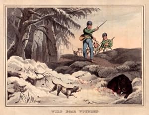 Wild Boar Wounded. Kolorierter Aquatinta-Kupferstich von Dubourg nach Manshirch aus Foreign Field...