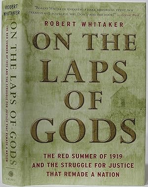 On the Laps of Gods: The Red Summer of 1919 and the Struggle for Justice That Remade a Nation
