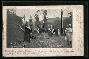 Bild des Verkufers fr Ansichtskarte Mngsten, Fichtenallee, Zerstrung durch Wirbelsturm am 14. August 1906 zum Verkauf von Bartko-Reher