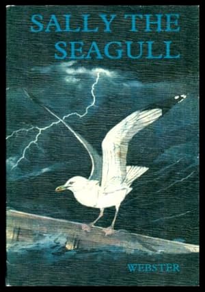 Imagen del vendedor de SALLY THE SEAGULL a la venta por W. Fraser Sandercombe