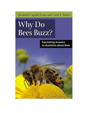 Imagen del vendedor de Why Do Bees Buzz? : Fascinating Answers to Questions About Bees a la venta por GreatBookPricesUK