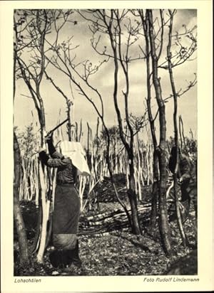 Ansichtskarte / Postkarte Frau beim Lohschälen, Bäume, Forstwirtschaft