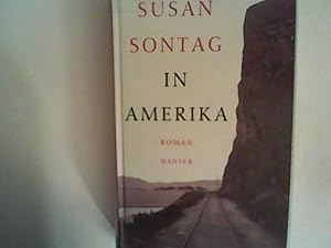 Bild des Verkufers fr In Amerika: Roman zum Verkauf von ANTIQUARIAT FRDEBUCH Inh.Michael Simon
