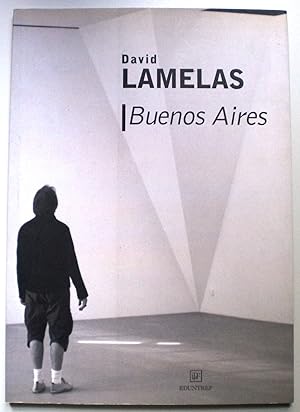 Imagen del vendedor de David Lamelas. Buenos Aires a la venta por Libreria Ninon