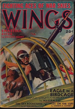 Bild des Verkufers fr WINGS Fighting Aces of War Skies: Winter 1942 zum Verkauf von Books from the Crypt