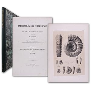 Die Cephalopoden der Stramberger Schichten.