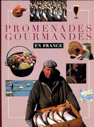 Bild des Verkufers fr Promenades gourmandes en France zum Verkauf von JLG_livres anciens et modernes