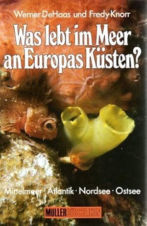 Seller image for Was lebt im Meer an Europas Ksten? for sale by Schueling Buchkurier