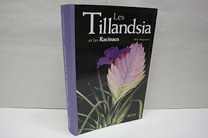 Les Tillandsia et les Racinaea