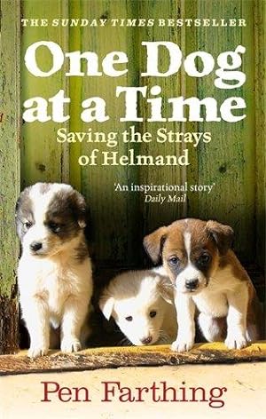Seller image for One Dog at a Time: Saving the Strays of Helmand - An Inspiring True Story for sale by WeBuyBooks