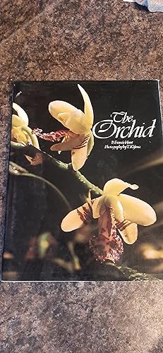 Immagine del venditore per The Orchid venduto da Darby Jones