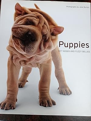 Seller image for Puppies : Wet Noses and Fuzzy Bellies for sale by Robinson Street Books, IOBA