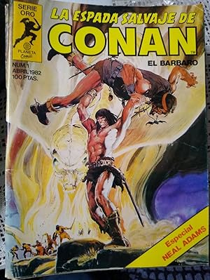 LA ESPADA SALVAJE DE CONAN Números 1+2+3+4+5+6+7+8+9+10