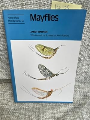 Seller image for Mayflies for sale by Anytime Books