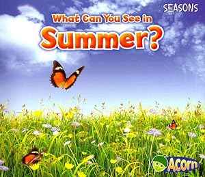 Seller image for What Can You See in Summer? for sale by GreatBookPrices