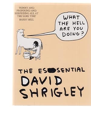 Bild des Verkufers fr What the Hell are you doing? The essential David Shrigley. zum Verkauf von Fundus-Online GbR Borkert Schwarz Zerfa