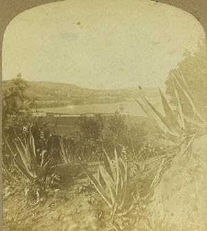 Algeria Algiers view taken from the Kouba Old Stereo photo Radiguet 1860