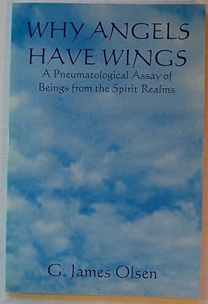 Why Angels Have Wings: A Pneumatological Assay of Beings of the Spirit Realms