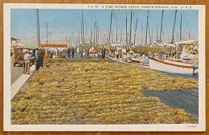 A Fine Sponge Catch, Tarpon Springs, Florida