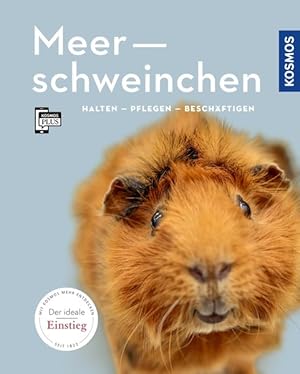 Meerschweinchen - halten, pflegen, beschäftigen.