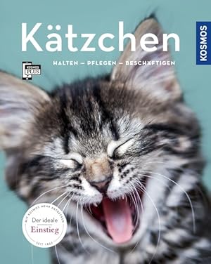 Kätzchen. Halten, pflegen, beschäftigen.