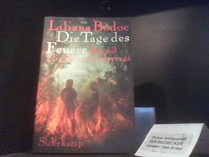 Bodoc, Liliana: Die Grenzländersaga; Teil: Bd. 3., Die Tage des Feuers. Suhrkamp Taschenbuch ; 4081