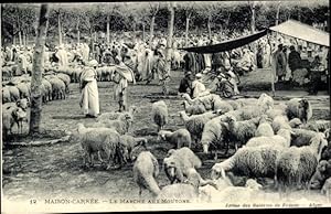 Image du vendeur pour Ansichtskarte / Postkarte Maison Carree El Harrach Algier Algerien, Le Marche aux Moutons mis en vente par akpool GmbH