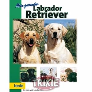 Seller image for Mein gesunder Labrador Retriever for sale by Allguer Online Antiquariat