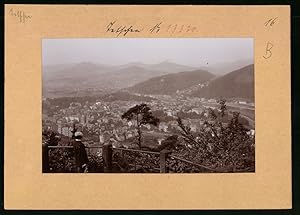 Fotografie Brück, Sohn Meissen, Ansicht Tetschen / Elbe, Blick auf die Stadt vond er Aussichtspla...