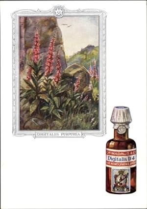 Seller image for Knstler Ansichtskarte / Postkarte Digitalis purpurea, Roter Fingerhut, Dr. Madaus und Co., Homopathie, Reklame for sale by akpool GmbH
