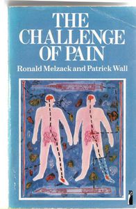 Imagen del vendedor de The challenge of pain a la venta por Book Haven