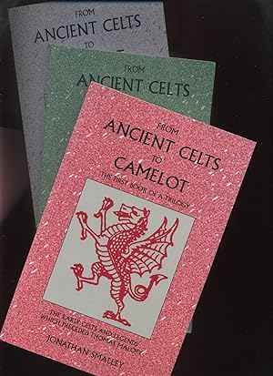 From Ancient Celts to Camelot 3 Volumes