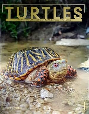 Seller image for Turtles: An Extraordinary Natural History - 245 Million Years In The Making for sale by Marlowes Books and Music