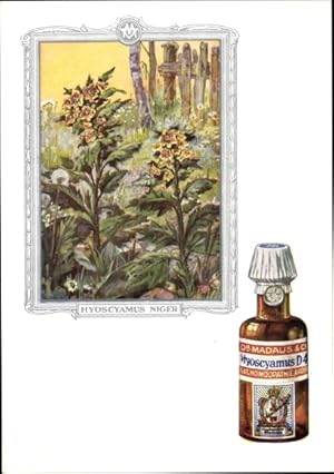 Bild des Verkufers fr Knstler Ansichtskarte / Postkarte Hyoscyamus niger, Bilsenkraut, Dr. Madaus und Co., Homopathie, Reklame zum Verkauf von akpool GmbH