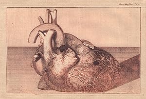 [A Representation of the Heart of his late Majesty King George II]