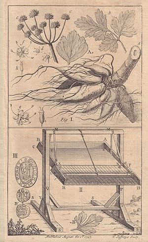 Seller image for [Fig 1. Root of a Plant. Hemlock Water drop Wort, Oenanthe Crocata. Lin. Fig 2. A Machine for winnowing Corn. Fig 2. Seal inscribed St. Margaret. Fig 4. A small Silver Coin (supposed Saxon)] for sale by Antiqua Print Gallery