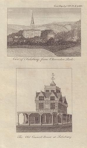 Fig 1. View of [the Cathedral at] Salisbury from Clarendon Park. Fig 2. [Elevation of] The Old Co...
