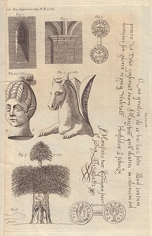 Imagen del vendedor de [Fig 1 & 2. Capital of a Pillar and arched passage above Crypt. Fig 3. Token, "Art. Brooker, Rochester". Fig 4 & 5. Brass Roman Sculpture, a head of a woman, and that of a horse at Manchester, Lancashire. Fig 6. Autograph of Queen Elizabeth. Fig 7. A remarkable Yew Tree at Sardon, Staffordshire. Fig 8. Roman Coin of Paulina, wife of Maximinus. Fig 9. Sole of an antient Boot at Lichfield] a la venta por Antiqua Print Gallery