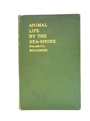 Seller image for Animal Life By The Sea Shore for sale by World of Rare Books