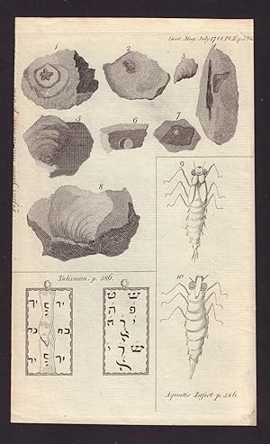 [Fig 1 to 8. Fossils found in Middlesex. 1. Astroites. 2. Mass of Vermiculi. 3. Part of a Shell. ...