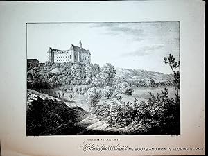 GREIN, Schloss Greinburg, original Lithographie, Ansicht [aus: Kunike: Donau Ansichten]