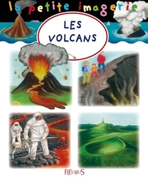 Immagine del venditore per Les volcans - Emilie Beaumont venduto da Book Hmisphres