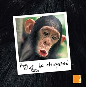 Bild des Verkufers fr Peau poils et pattes : Le chimpanz? - Anne-claire Aubron zum Verkauf von Book Hmisphres